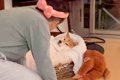 犬がパパに熱いキス…の画像