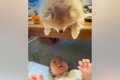 赤ちゃんが『テーブ…の画像