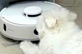 『お掃除ロボット』…の画像