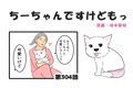 ちーちゃんですけど…の画像