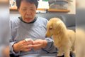 犬嫌いだった母が…飼…の画像