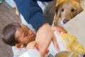 １歳の男の子と大型…の画像