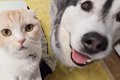 暖かくなったのでこ…の画像