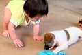 赤ちゃんと保護子犬…の画像