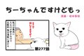 ちーちゃんですけど…の画像