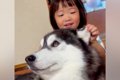 2歳の女の子が『生ま…の画像