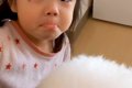 朝、3歳の女の子が『…の画像