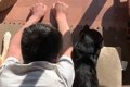 窓際で『猫の真似』…の画像