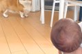 赤ちゃんを初めて目…の画像