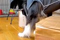 出張中、おじいちゃ…の画像