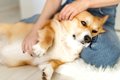 犬に愛される飼い主…の画像