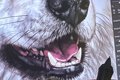『本物を見て触って…の画像