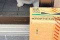 自宅警備犬が『お昼…の画像