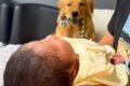 生まれたての赤ちゃ…の画像