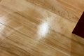 おしっこを失敗して…の画像