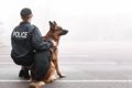 ドローンは警察犬の…の画像