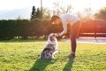 犬が飼い主以外の人…の画像