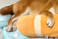家にいる高校生の息…の画像