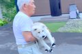 段差を下りるのが辛…の画像
