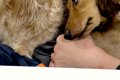 友人が遊びに来て『…の画像