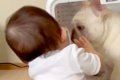 赤ちゃんが『箱の中…の画像