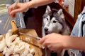 料理配信をしている…の画像