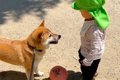 ２歳の小さな子ども…の画像