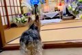 亡くなったおばあち…の画像