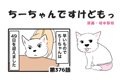 ちーちゃんですけど…の画像