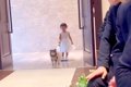 小さな女の子と犬が…の画像