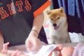 お母さんに甘えたい…の画像