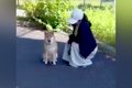 家では犬に吠えられ…の画像