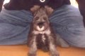 14年前にお迎えした…の画像