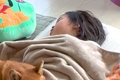 小学校に入学した６…の画像