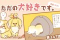 ただの犬好きです。…の画像