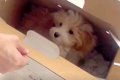 値下げされ、売れ残…の画像