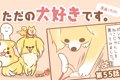 ただの犬好きです。…の画像