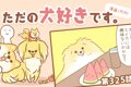 ただの犬好きです。…の画像