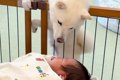生まれて初めて『赤…の画像