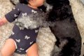 朝、赤ちゃんの隣で…の画像