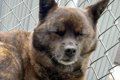 『今年も生えました…の画像