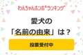 【投票受付中】愛犬…の画像