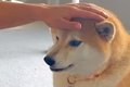 『パパの仕事がお休…の画像