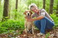 犬の免疫力が下がる…の画像