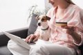 犬を飼うのに『絶対…の画像
