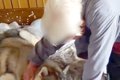 87歳おばあちゃんの…の画像