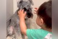 寝起きの小さな男の…の画像