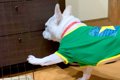 『引き出しを開ける…の画像