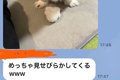 犬を預けた友人からL…の画像