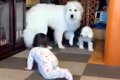 大喧嘩をしていた超…の画像